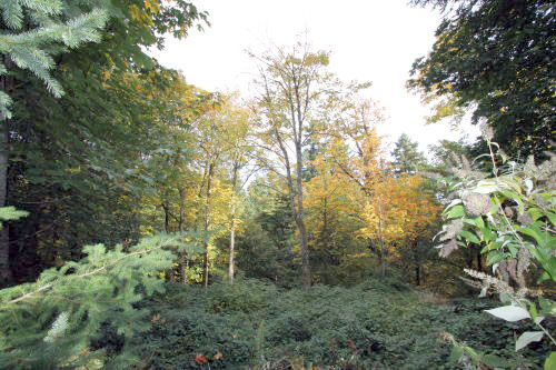 Lower level fireplace